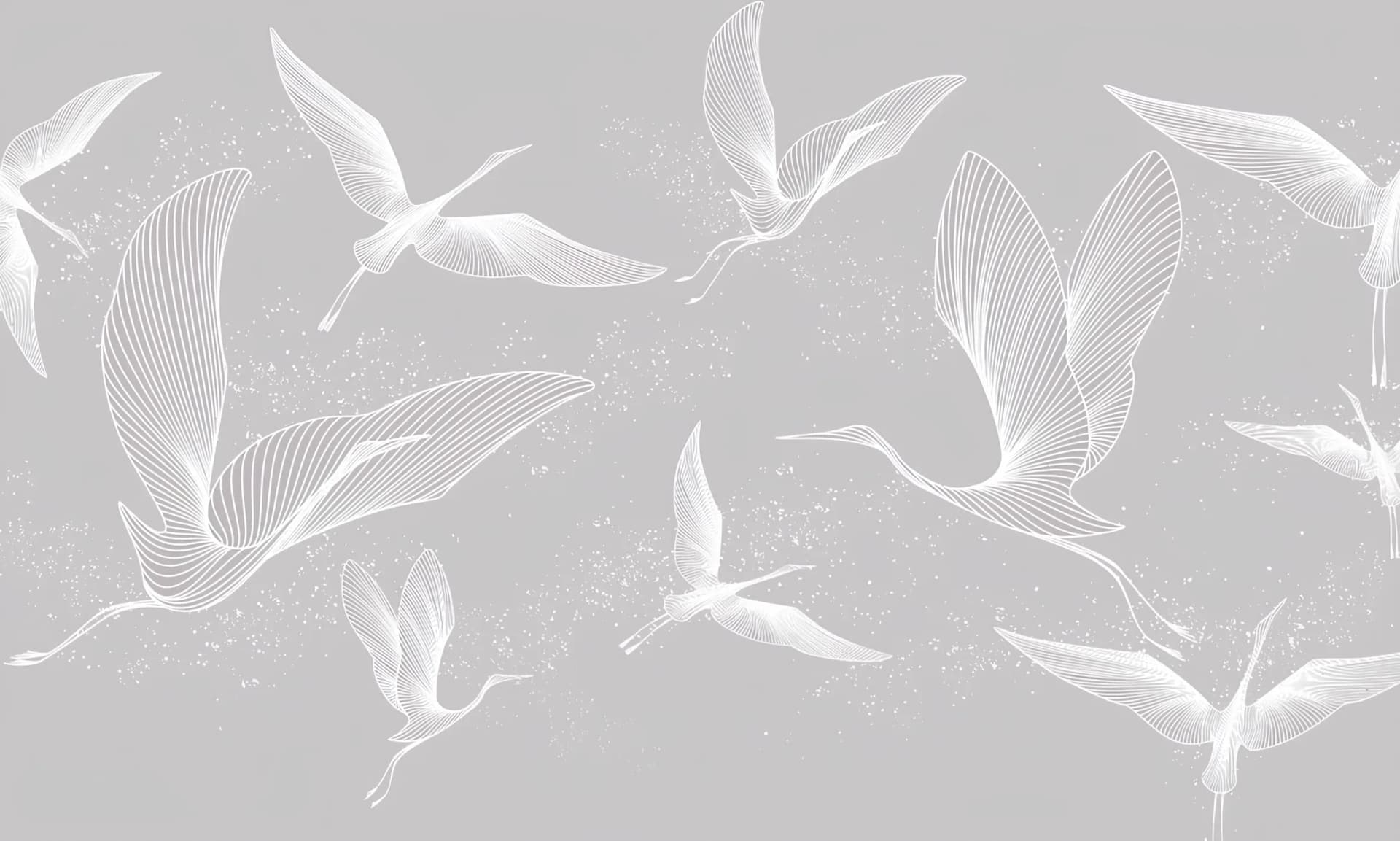 Bedroom duvar kağıdı — Line Art Bird Wallpaper in Grey and Blush Pink