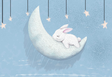 Ay Mavi Gökyüzü ve Uykucu Tavşan…
