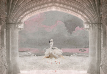 Aşık Flamingolar Sütun ve Deniz…