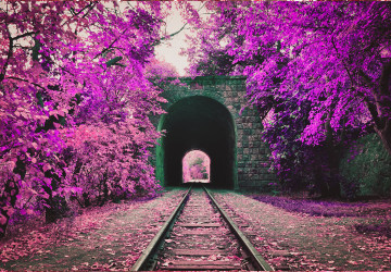 Mor Ağaçlı Tren Yolunda Taş…
