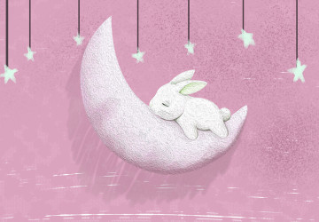 Pembe Ay Üzerinde Uyuyan Tavşan…