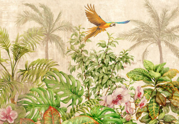 Tropikal Orman ve Papağan Duvar…
